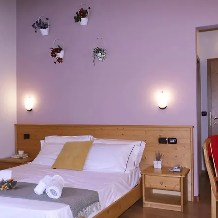 Hotel Parco Pineta *